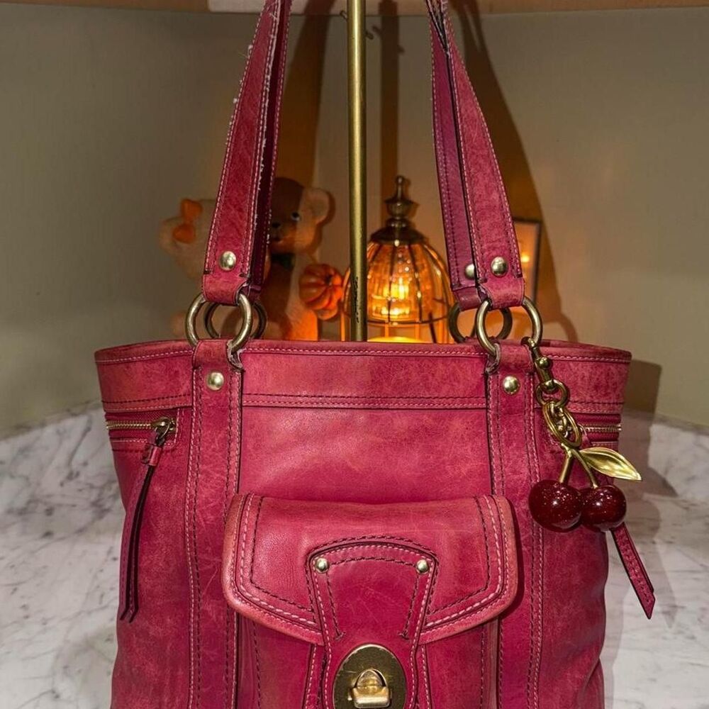Coach Women's Burgundy and Red Bag